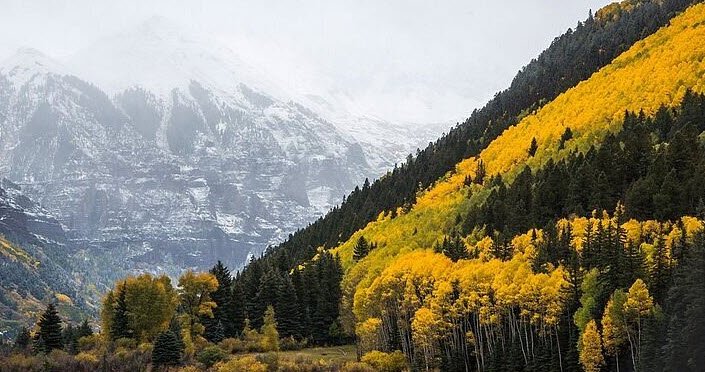 Andrews Arboretum, United States